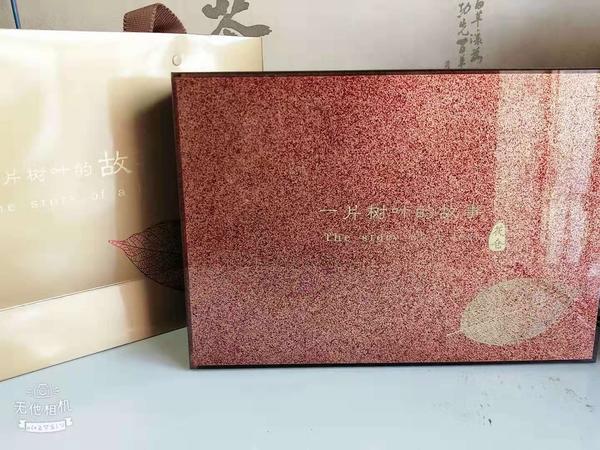 一片叶子
